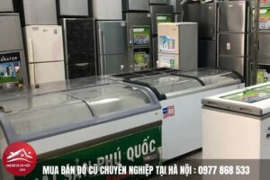 Thu mua tủ đông 3