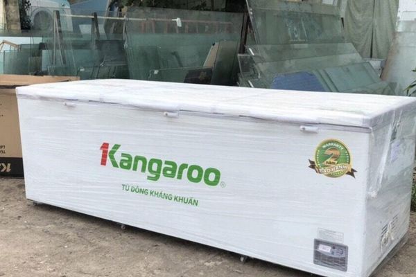 Thanh Lý Tủ Đông Nhà Hàng