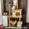 Cat Tree