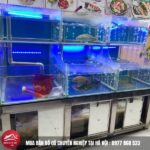 Bể Cá
