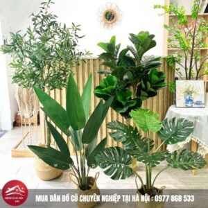 Cây Giả Decor Nội Thất