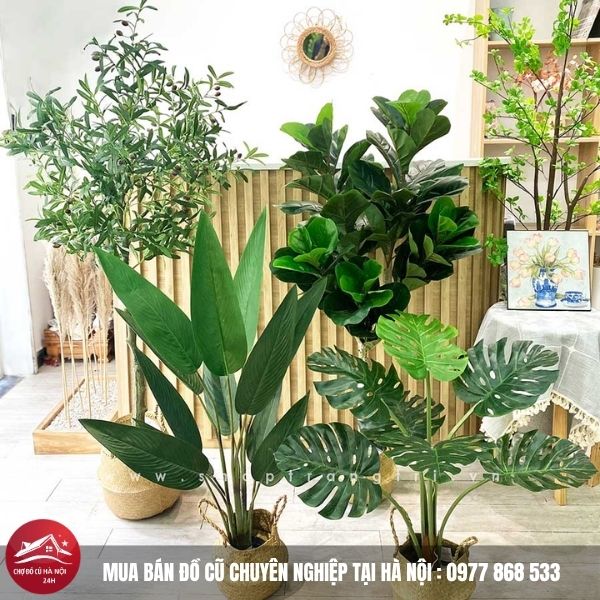 Cây Giả Decor Nội Thất