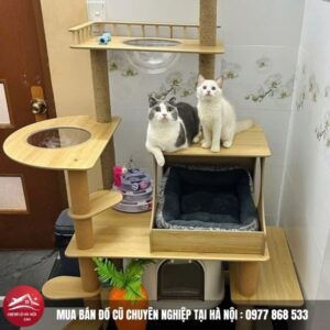 Trụ Cào Móng Cho Mèo