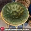 Ghế Papasan