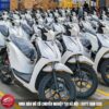Xe Đạp Điện