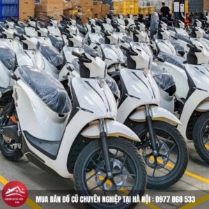 Xe Đạp Điện