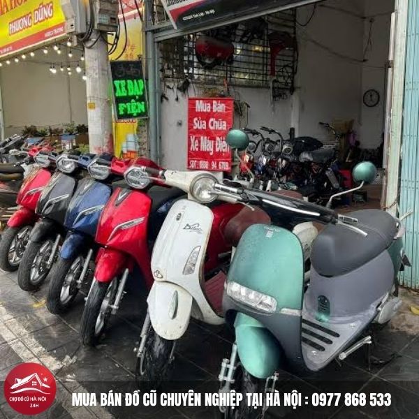 Thu Mua Xe Đạp Điện Cũ 1