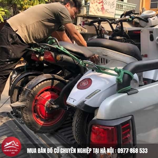 Thu Mua Xe Đạp Điện Cũ 2