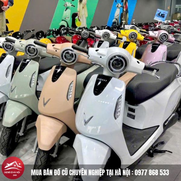 Thu Mua Xe Điện Cũ1