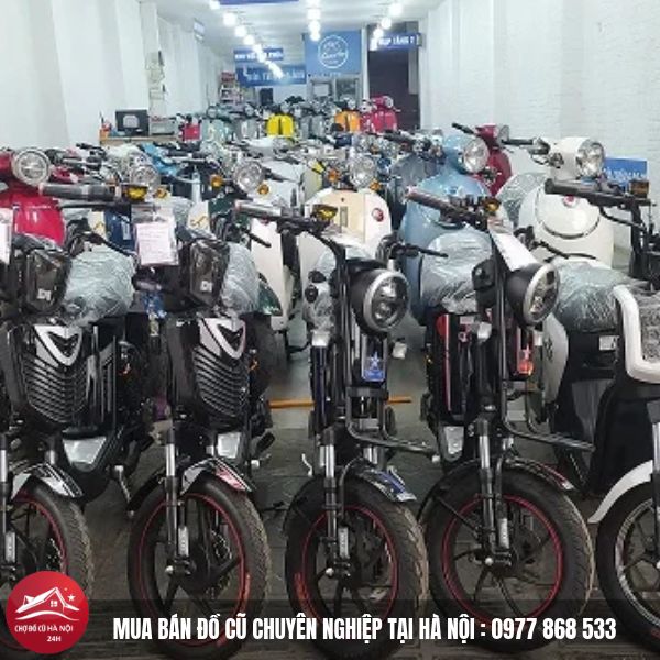 Thu Mua Xe Điện Cũ 2