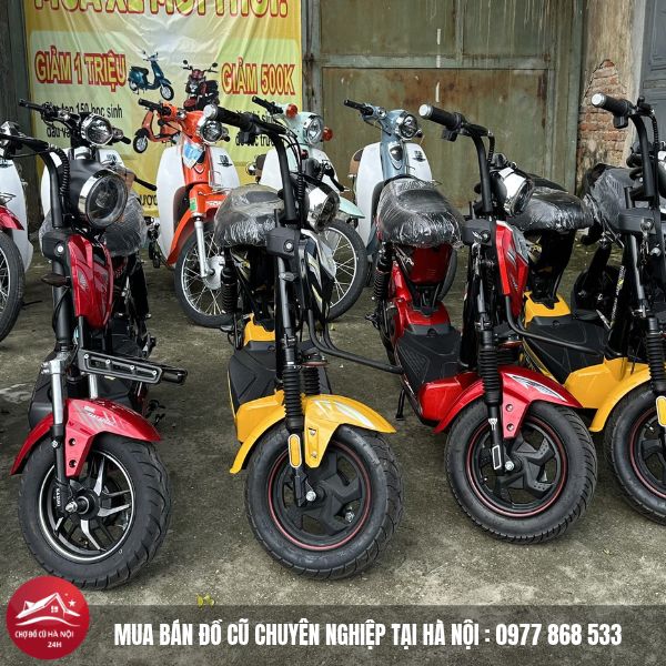 Thu Mua Xe Điện Cũ
