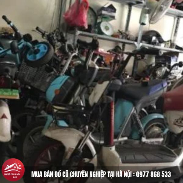 Thu Mua Xe Điện Cũ 2