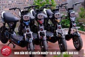 Thu Mua Xe Điện Cũ 3