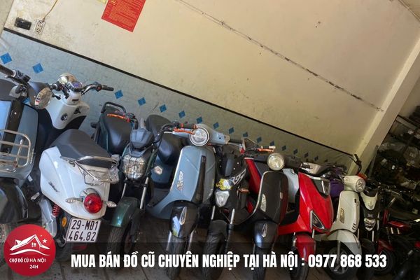 Xe Đạp Điện Cũ 6